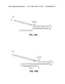 DETECTION OF NUCEIC ACIDS BY MULTIPLE SEQUENTIAL INVASIVE CLEAVAGES diagram and image