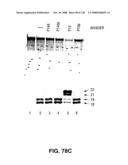 DETECTION OF NUCEIC ACIDS BY MULTIPLE SEQUENTIAL INVASIVE CLEAVAGES diagram and image