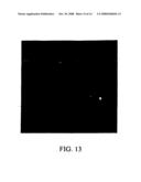 METHOD FOR DETECTING AND QUANTITATING MULTIPLE-SUBCELLULAR COMPONENTS diagram and image