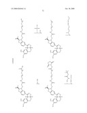 Haptens, hapten conjugates, compositions thereof and method for their preparation and use diagram and image