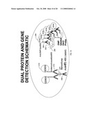 Haptens, hapten conjugates, compositions thereof and method for their preparation and use diagram and image