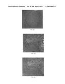 Haptens, hapten conjugates, compositions thereof and method for their preparation and use diagram and image