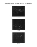 Haptens, hapten conjugates, compositions thereof and method for their preparation and use diagram and image