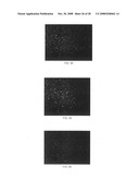 Haptens, hapten conjugates, compositions thereof and method for their preparation and use diagram and image