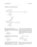 Haptens, hapten conjugates, compositions thereof and method for their preparation and use diagram and image