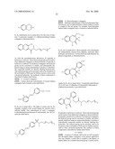 Haptens, hapten conjugates, compositions thereof and method for their preparation and use diagram and image