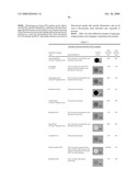 Haptens, hapten conjugates, compositions thereof and method for their preparation and use diagram and image