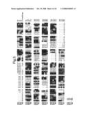 METHODS AND MATERIALS RELATING TO GENE EXPRESSION diagram and image