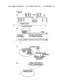 METHODS AND MATERIALS RELATING TO GENE EXPRESSION diagram and image