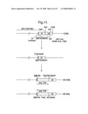 METHODS AND MATERIALS RELATING TO GENE EXPRESSION diagram and image