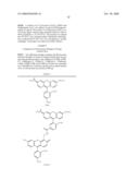 METHODS OF LABELING POLYNUCLEOTIDES WITH ENERGY TRANSFER DYES diagram and image