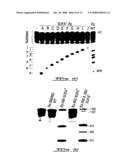 Target-Dependent Nucleic Acid Adapter diagram and image