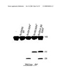 Target-Dependent Nucleic Acid Adapter diagram and image