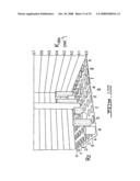 Target-Dependent Nucleic Acid Adapter diagram and image