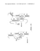 Target-Dependent Nucleic Acid Adapter diagram and image