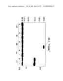 Target-Dependent Nucleic Acid Adapter diagram and image