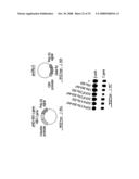 Target-Dependent Nucleic Acid Adapter diagram and image