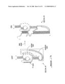 Target-Dependent Nucleic Acid Adapter diagram and image