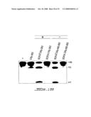 Target-Dependent Nucleic Acid Adapter diagram and image