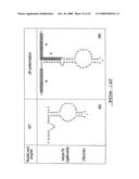 Target-Dependent Nucleic Acid Adapter diagram and image