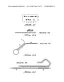 Target-Dependent Nucleic Acid Adapter diagram and image