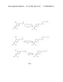 Compositions Containing, Methods Involving, and Uses of Non-Natural Amino Acids and Polypeptides diagram and image