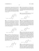 Compositions Containing, Methods Involving, and Uses of Non-Natural Amino Acids and Polypeptides diagram and image