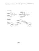 Compositions Containing, Methods Involving, and Uses of Non-Natural Amino Acids and Polypeptides diagram and image