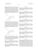 Compositions Containing, Methods Involving, and Uses of Non-Natural Amino Acids and Polypeptides diagram and image