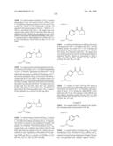 Compositions Containing, Methods Involving, and Uses of Non-Natural Amino Acids and Polypeptides diagram and image