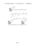 Compositions Containing, Methods Involving, and Uses of Non-Natural Amino Acids and Polypeptides diagram and image