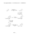 Compositions Containing, Methods Involving, and Uses of Non-Natural Amino Acids and Polypeptides diagram and image