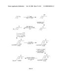 Compositions Containing, Methods Involving, and Uses of Non-Natural Amino Acids and Polypeptides diagram and image