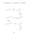 Compositions Containing, Methods Involving, and Uses of Non-Natural Amino Acids and Polypeptides diagram and image