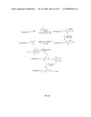 Compositions Containing, Methods Involving, and Uses of Non-Natural Amino Acids and Polypeptides diagram and image