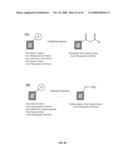 Compositions Containing, Methods Involving, and Uses of Non-Natural Amino Acids and Polypeptides diagram and image