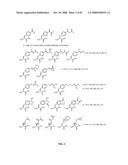 Compositions Containing, Methods Involving, and Uses of Non-Natural Amino Acids and Polypeptides diagram and image