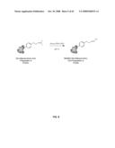 Compositions Containing, Methods Involving, and Uses of Non-Natural Amino Acids and Polypeptides diagram and image