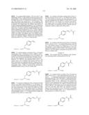 Compositions Containing, Methods Involving, and Uses of Non-Natural Amino Acids and Polypeptides diagram and image