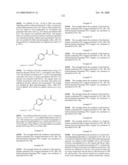 Compositions Containing, Methods Involving, and Uses of Non-Natural Amino Acids and Polypeptides diagram and image