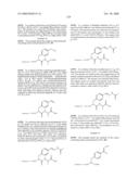 Compositions Containing, Methods Involving, and Uses of Non-Natural Amino Acids and Polypeptides diagram and image