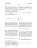 Compositions Containing, Methods Involving, and Uses of Non-Natural Amino Acids and Polypeptides diagram and image