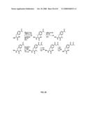 Compositions Containing, Methods Involving, and Uses of Non-Natural Amino Acids and Polypeptides diagram and image