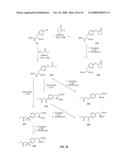 Compositions Containing, Methods Involving, and Uses of Non-Natural Amino Acids and Polypeptides diagram and image