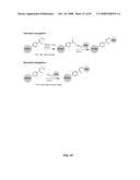 Compositions Containing, Methods Involving, and Uses of Non-Natural Amino Acids and Polypeptides diagram and image