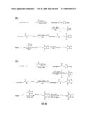 Compositions Containing, Methods Involving, and Uses of Non-Natural Amino Acids and Polypeptides diagram and image