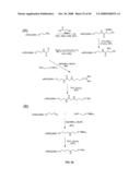 Compositions Containing, Methods Involving, and Uses of Non-Natural Amino Acids and Polypeptides diagram and image