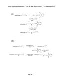 Compositions Containing, Methods Involving, and Uses of Non-Natural Amino Acids and Polypeptides diagram and image