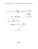 Compositions Containing, Methods Involving, and Uses of Non-Natural Amino Acids and Polypeptides diagram and image