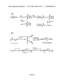 Compositions Containing, Methods Involving, and Uses of Non-Natural Amino Acids and Polypeptides diagram and image